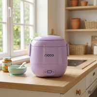 Cuisinière à riz électrique portable mini JRC-30 120W 0.3L avec cuve antiadhésive, boîtier en plastique, tasse doseuse - Certifiée GS CE ROHS LFGB