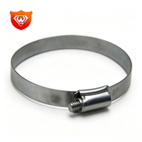 Colliers de serrage de type américain en acier inoxydable 316