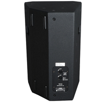 Système audio de studio à bobine vocale en néodyme TD10 10 pouces Performance extérieure Haut-parleur divertissant actif avec impédance 8ohm