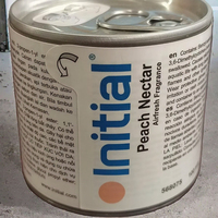 Désodorisant Liquide en Alliage 120ml à Volatilisation Naturelle, Parfum Nectar de Pêche, pour Voiture et Maison, Aromathérapie Automobile
