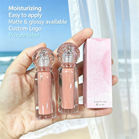 Gloss à lèvres liquide mat et brillant, haute pigmentation, hydratant, waterproof, 65 couleurs, marque privée