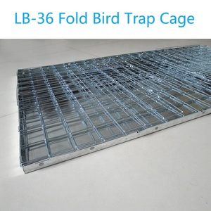 Pièges à cages pour animaux vivants Liebang pour capturer les oiseaux nuisibles, les pigeons, les pieuvres, les corbeaux, pièges à cages, fabricant chinois - Product Image 5