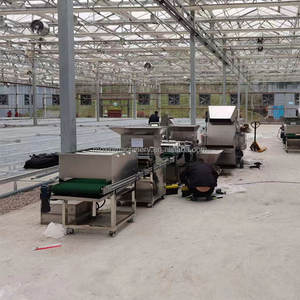 MOXIN máquina de bandeja de plántulas completamente automática flor semilla vegetal enchufe maceta 220V máquina de siembra de plántulas - Product Image 2