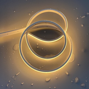 <span class=keywords><strong>2025</strong></span> Sản phẩm mới 8 mét Trắng <span class=keywords><strong>COB</strong></span> cộng với LED linh hoạt tuyến tính chiếu sáng IP66 DC24V Spotless cho khách sạn thống nhất phát quang - Product Image 1