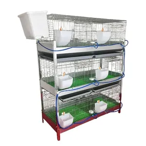 Nouveau produit : Nid d'accrochage intégré et cages à lapins pour élevage – 12 cages à lapins en tube métallique (Philippines), 1 ensemble - Product Image 4