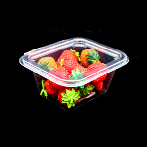 <b>Food</b> Clamshell Plastic Fruit Salad <b>Container</b> Wholesale - Product Image 3