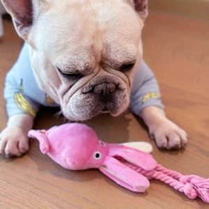 Özel deniz hayvan peluş köpek oyuncaklar pembe ahtapot gıcırtılı çiğnemek yumuşak pamuk halat komik Pet oyuncaklar - Product Image 3