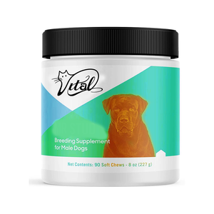 Stallion Dog Supplément en poudre pour les soins de santé des animaux de compagnie Le soutien de la fertilité encourage l'excitation Endurance Augmentation du nombre de spermatozoïdes pour - Product Image 1