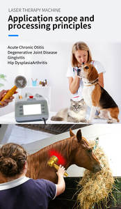 Láser de Acupuntura Portátil para Animales, Láser Veterinario Multifuncional de Semiconductor, Instrumento de Terapia Láser Veterinaria - Product Image 4