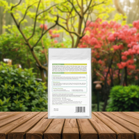 Sachets de tisane de feuilles de molène de qualité supérieure, 30 unités, pour le soutien de la santé respiratoire