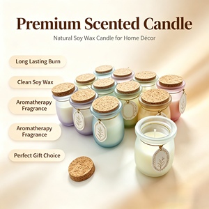 Ensemble cadeau de 12 mini pots en verre givré, bougies parfumées à la cire de soja, aromathérapie, parfum d'ambiance pour la maison, senteurs et emballages personnalisés - Product Image 5
