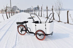 Biciclette Cargo e Passeggeri per Famiglie Tricicli per il Trasporto di Animali Domestici - Product Image 5