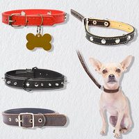 Anneaux en D semi-plastiques et métalliques de 16 mm, 20 mm, 24 mm, multicolores, pour colliers de chien, quincaillerie, sacs, sacs à main, sangles