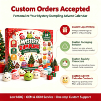 Calendrier de l'Avent Squishy en forme de Boulette de Noël, Design Créatif en TPR, Ensemble de 24 Jouets Sensoriels Mignons et Souples à Presser, Surprise de Noël