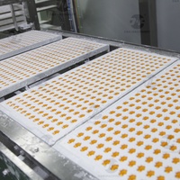 Moule à amidon (machine à bonbons) automatique, ligne de production de bonbons gélifiés