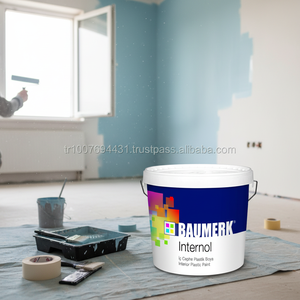 <b>Plastic</b> <b>Paint</b> - Product Image 3