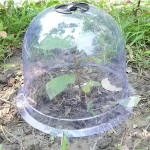 Great Standard Transparent Round Plastic Dome Cloche Plant Bell Cover