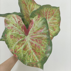 Cây giả trang trí in 3D, hình quả sung, có rễ, lá giả, chất liệu như thật - Product Image 4