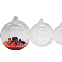 Mini jardinière murale d'intérieur, Terrariums suspendus en verre clair pour plante aérienne, plantes succulentes et présentoir de bougies