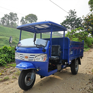 Vehículos de Transporte Agrícola, Triciclo para Carga Pesada, Motocicleta de 3 Ruedas - Product Image 1
