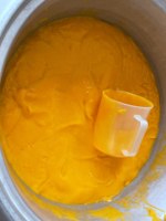 Automatische Mango Sap Extractie & Verwerkingslijn