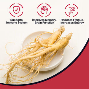 Bitkisel takviyesi erkekler güç geliştirme orijinal Ginseng Kianpi Pil Ginseng kahve kore Ginseng - Product Image 5