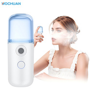 Vente en gros OEM 30ml Vapeur faciale portable de marque privée Handy Electric Fine Water Alcohol Nano Mist Pulvérisator