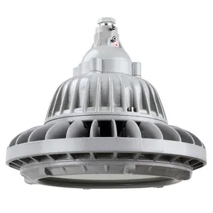 ATEX Explosion-Proof Lights Die-Cast Aluminum Alloy Shell 50W 100W 150W IP66 Waterproof Chemical Industry Lamping