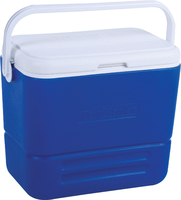Ensemble de glacières isothermes étanches 16L et 36L avec poignée, rigides et portables, idéales pour la pêche, le camping, la randonnée et les aventures en plein air
