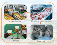KOSHER HALAL CERTIFICAAT 100% Natuurlijke Zoete Gefreeze-droogde Ananas ODM OEM Smaakverpakking Snack Voedsel