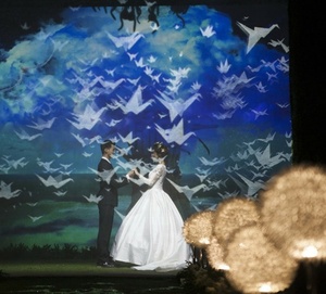 Lưới Chiếu Ba Chiều 3D Cho Sân Khấu Màn Hình Lưới Ba Chiều Màu Trắng Mỏng - Product Image 2