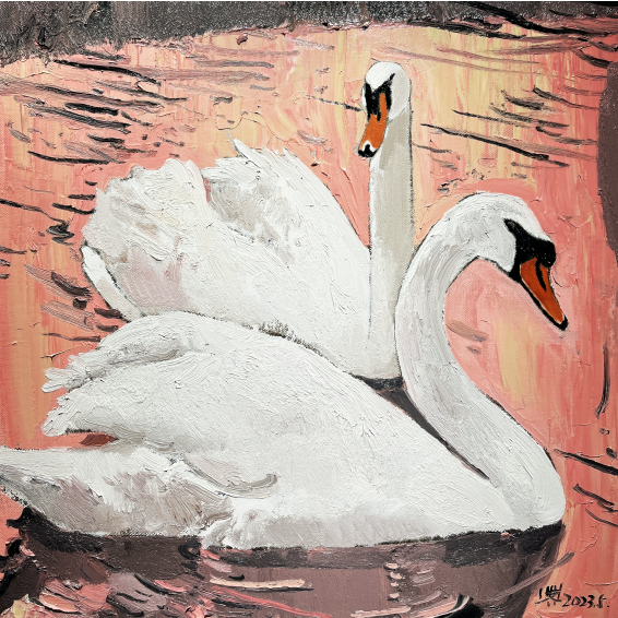 หงส์ขาว