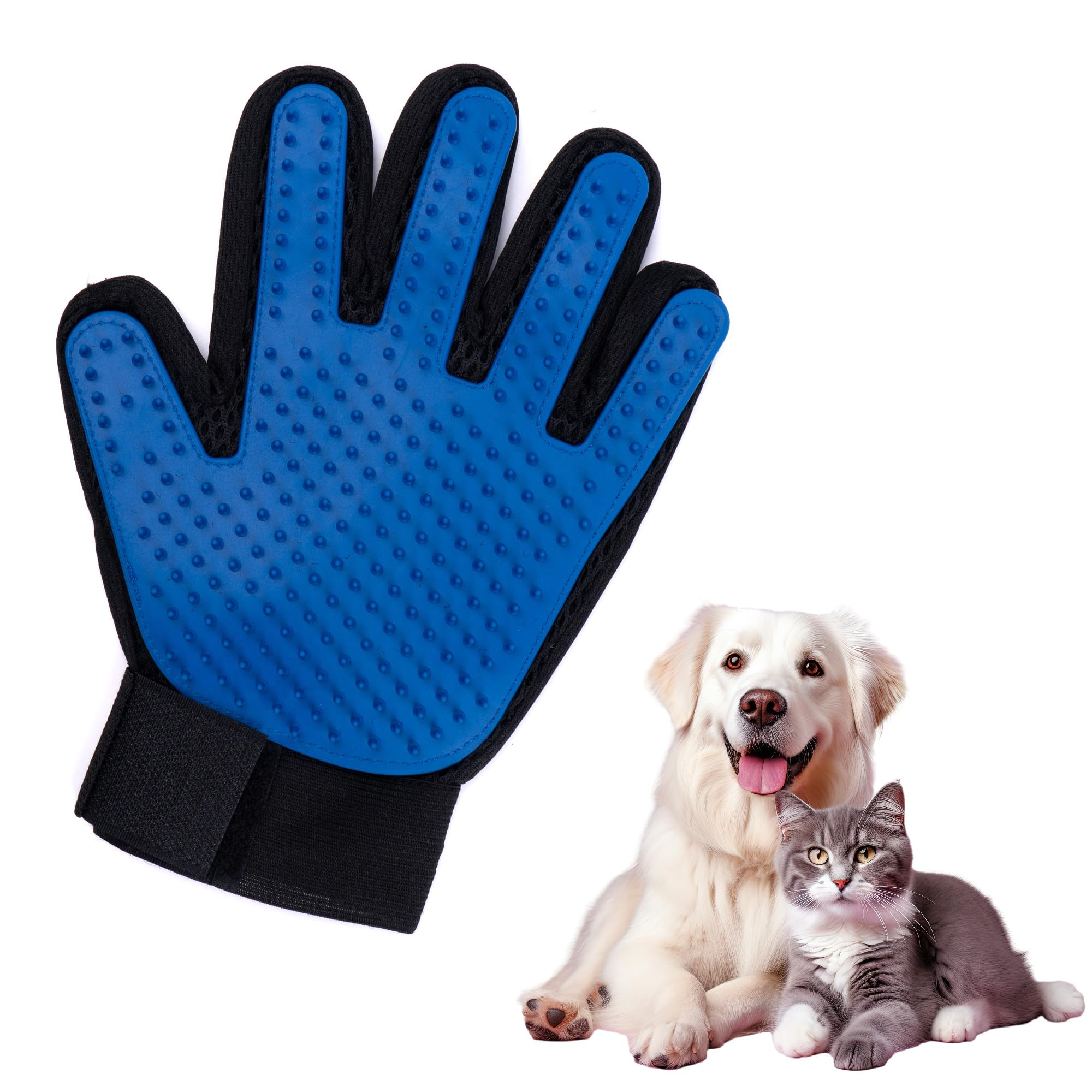 Bleu