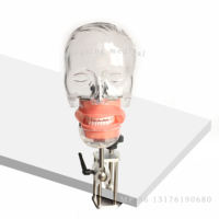 Tête fantôme de simulateur dentaire de modèle de tête simple pour l'éducation de dentiste modèle de tête d'enseignement de dentiste fantôme pour la formation