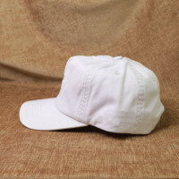 Casquette de baseball à 5 panneaux en coton pur, visière incurvée, boucle en plastique réglable, personnalisable avec broderie