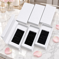 Extensions de cils volume effet naturel, bouquets pré-faits, plateaux de cils volume russe pour artistes en cils en salon