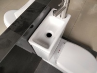 Ensemble WC et lavabo combiné 2-en-1 en céramique avec siphon en P intégré et économie d'eau