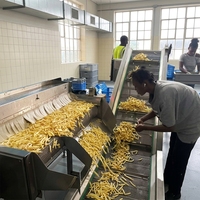 Fabrieks prijs volautomatische productielijn voor diepvries frites & fruitverwerking, cassave- en aardappelverwerkingsmachine, hoge capaciteit