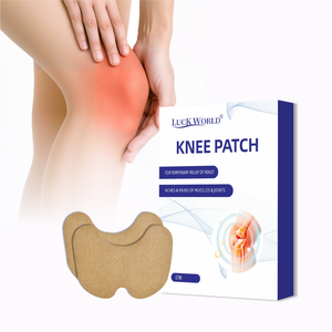 OEM ODM Penjualan Laris Ramah Lingkungan Hipoalergenik Bantuan Tidur Plester Pereda Nyeri Lutut Capsicum Ukuran Sesuai Pesanan - Product Image 5