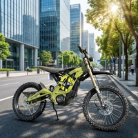 2026 Surron Ultra Bee 72V35Ah 10Kw Elektrisches Dirtbike E-Motorrad für Erwachsene