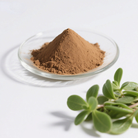 Extrait de Bacopa Monnieri en poudre 99% Saponines Extrait de plante médicinale Qualité alimentaire Complément oral
