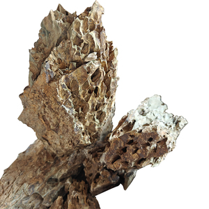 Pierre d'écorce de pin de catégorie fine <span class=keywords><strong>pour</strong></span> l'horticulture et la décoration - Product Image 2