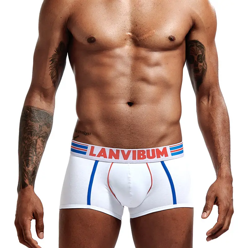 Man Cotton Underwear Calzoncillos Sexy Undies Boxershorts Men's Clothing