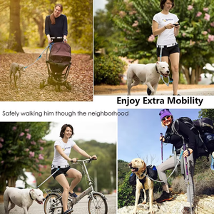 Guinzaglio per Cani Retrattile Nibao a Doppio Elastico con Cintura Regolabile e Tasca per Premi - Product Image 6