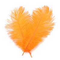Vente en gros 25-30cm plumes d'autruche rose rouge jaune noir vert plumes d'autruche en vrac pour la décoration