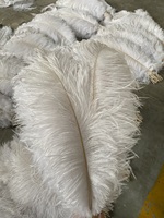 45-50cm blanc en vrac rose panache plumes d'autruche naturelles pour fête carnaval Costume mariage pièce maîtresse Vase Floral décor