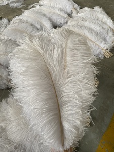 45-50cm blanco a granel Rosa pluma plumas de avestruz naturales para fiesta carnaval disfraz boda centro de mesa florero Floral Decoración - Product Image 3