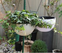 Maceta Colgante de Plástico Imitación Mimbre para Plantas Suculentas, Maceta Colgante con Autorriego para Orquídeas, Maceta Colgante Tipo Panal de Abeja