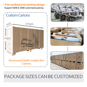 Oem/ODM Sản phẩm bán chạy 48V 60V 500W Xe đạp điện hai bánh xe cơ giới xe đạp với biểu tượng tùy chỉnh - Product Image 6