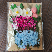 Idées de nouveaux produits 2023, vente par le fabricant, matériaux de décoration en fleurs séchées pour bougies parfumées pour la Saint-Valentin, séchées